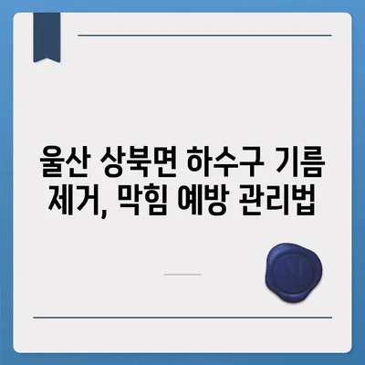 울산시 울주군 상북면 하수구막힘 | 가격 | 비용 | 기름제거 | 싱크대 | 변기 | 세면대 | 역류 | 냄새차단 | 2024 후기