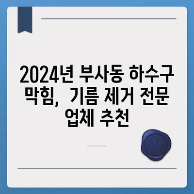 대전시 중구 부사동 하수구막힘 | 가격 | 비용 | 기름제거 | 싱크대 | 변기 | 세면대 | 역류 | 냄새차단 | 2024 후기