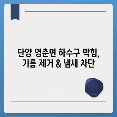 충청북도 단양군 영춘면 하수구막힘 | 가격 | 비용 | 기름제거 | 싱크대 | 변기 | 세면대 | 역류 | 냄새차단 | 2024 후기