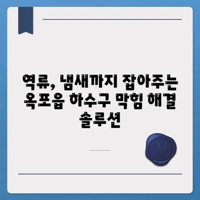 대구시 달성군 옥포읍 하수구막힘 | 가격 | 비용 | 기름제거 | 싱크대 | 변기 | 세면대 | 역류 | 냄새차단 | 2024 후기