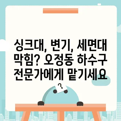 대전시 대덕구 오정동 하수구막힘 | 가격 | 비용 | 기름제거 | 싱크대 | 변기 | 세면대 | 역류 | 냄새차단 | 2024 후기