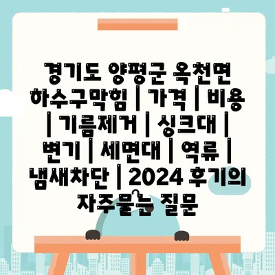 경기도 양평군 옥천면 하수구막힘 | 가격 | 비용 | 기름제거 | 싱크대 | 변기 | 세면대 | 역류 | 냄새차단 | 2024 후기