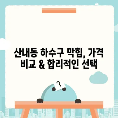 대전시 동구 산내동 하수구막힘 | 가격 | 비용 | 기름제거 | 싱크대 | 변기 | 세면대 | 역류 | 냄새차단 | 2024 후기