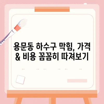 대전시 서구 용문동 하수구막힘 | 가격 | 비용 | 기름제거 | 싱크대 | 변기 | 세면대 | 역류 | 냄새차단 | 2024 후기