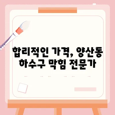 광주시 북구 양산동 하수구막힘 | 가격 | 비용 | 기름제거 | 싱크대 | 변기 | 세면대 | 역류 | 냄새차단 | 2024 후기