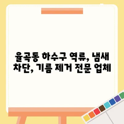 경상북도 김천시 율곡동 하수구막힘 | 가격 | 비용 | 기름제거 | 싱크대 | 변기 | 세면대 | 역류 | 냄새차단 | 2024 후기