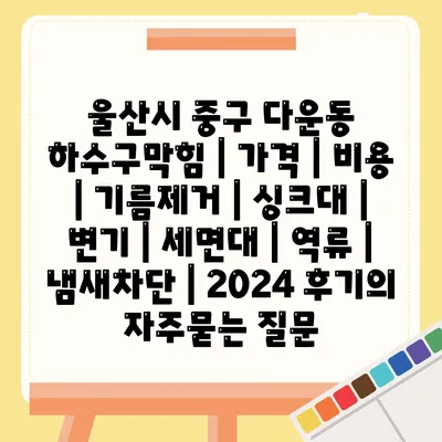 울산시 중구 다운동 하수구막힘 | 가격 | 비용 | 기름제거 | 싱크대 | 변기 | 세면대 | 역류 | 냄새차단 | 2024 후기