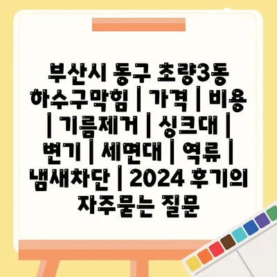 부산시 동구 초량3동 하수구막힘 | 가격 | 비용 | 기름제거 | 싱크대 | 변기 | 세면대 | 역류 | 냄새차단 | 2024 후기