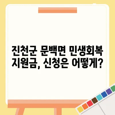 충청북도 진천군 문백면 민생회복지원금 | 신청 | 신청방법 | 대상 | 지급일 | 사용처 | 전국민 | 이재명 | 2024