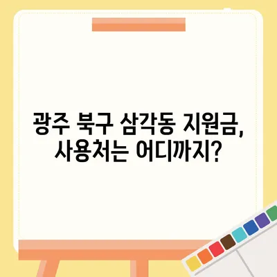 광주시 북구 삼각동 민생회복지원금 | 신청 | 신청방법 | 대상 | 지급일 | 사용처 | 전국민 | 이재명 | 2024