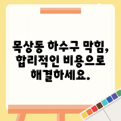 대전시 대덕구 목상동 하수구막힘 | 가격 | 비용 | 기름제거 | 싱크대 | 변기 | 세면대 | 역류 | 냄새차단 | 2024 후기