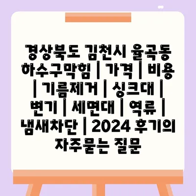 경상북도 김천시 율곡동 하수구막힘 | 가격 | 비용 | 기름제거 | 싱크대 | 변기 | 세면대 | 역류 | 냄새차단 | 2024 후기