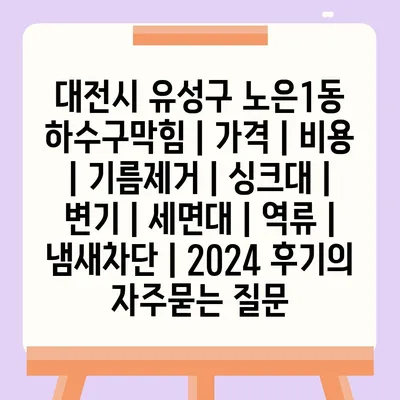 대전시 유성구 노은1동 하수구막힘 | 가격 | 비용 | 기름제거 | 싱크대 | 변기 | 세면대 | 역류 | 냄새차단 | 2024 후기