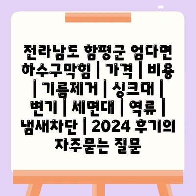 전라남도 함평군 엄다면 하수구막힘 | 가격 | 비용 | 기름제거 | 싱크대 | 변기 | 세면대 | 역류 | 냄새차단 | 2024 후기