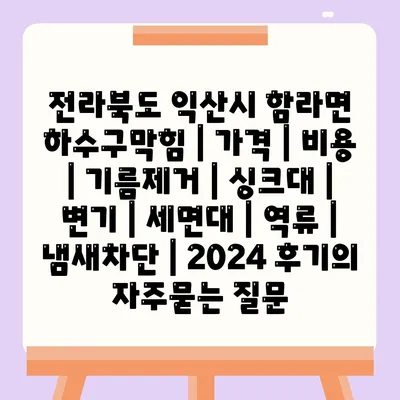 전라북도 익산시 함라면 하수구막힘 | 가격 | 비용 | 기름제거 | 싱크대 | 변기 | 세면대 | 역류 | 냄새차단 | 2024 후기