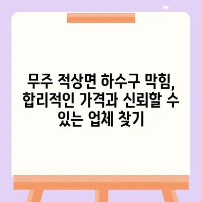 전라북도 무주군 적상면 하수구막힘 | 가격 | 비용 | 기름제거 | 싱크대 | 변기 | 세면대 | 역류 | 냄새차단 | 2024 후기