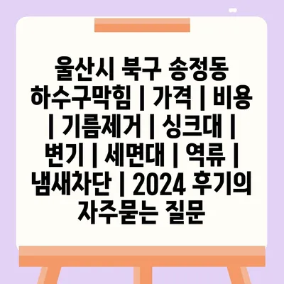 울산시 북구 송정동 하수구막힘 | 가격 | 비용 | 기름제거 | 싱크대 | 변기 | 세면대 | 역류 | 냄새차단 | 2024 후기