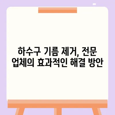 제주도 서귀포시 대륜동 하수구막힘 | 가격 | 비용 | 기름제거 | 싱크대 | 변기 | 세면대 | 역류 | 냄새차단 | 2024 후기