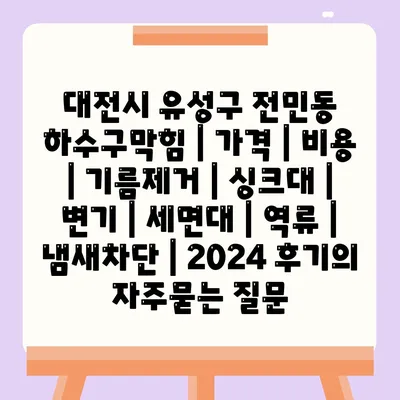 대전시 유성구 전민동 하수구막힘 | 가격 | 비용 | 기름제거 | 싱크대 | 변기 | 세면대 | 역류 | 냄새차단 | 2024 후기