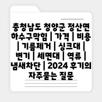 충청남도 청양군 정산면 하수구막힘 | 가격 | 비용 | 기름제거 | 싱크대 | 변기 | 세면대 | 역류 | 냄새차단 | 2024 후기