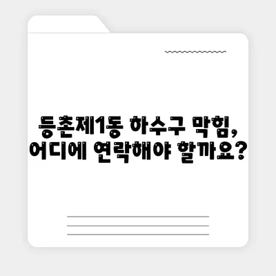 서울시 강서구 등촌제1동 하수구막힘 | 가격 | 비용 | 기름제거 | 싱크대 | 변기 | 세면대 | 역류 | 냄새차단 | 2024 후기