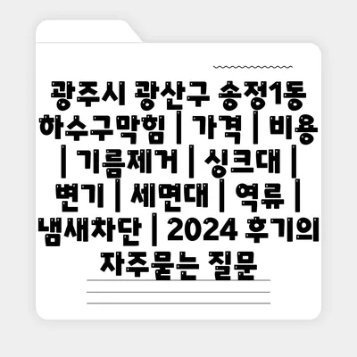 광주시 광산구 송정1동 하수구막힘 | 가격 | 비용 | 기름제거 | 싱크대 | 변기 | 세면대 | 역류 | 냄새차단 | 2024 후기