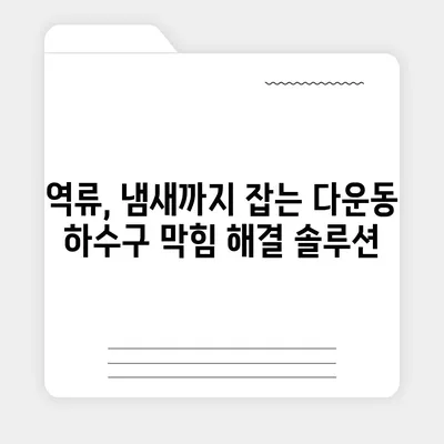 울산시 중구 다운동 하수구막힘 | 가격 | 비용 | 기름제거 | 싱크대 | 변기 | 세면대 | 역류 | 냄새차단 | 2024 후기