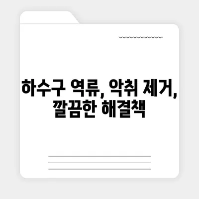 충청북도 충주시 지현동 하수구막힘 | 가격 | 비용 | 기름제거 | 싱크대 | 변기 | 세면대 | 역류 | 냄새차단 | 2024 후기