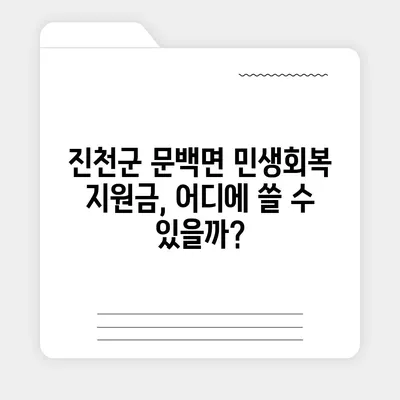 충청북도 진천군 문백면 민생회복지원금 | 신청 | 신청방법 | 대상 | 지급일 | 사용처 | 전국민 | 이재명 | 2024