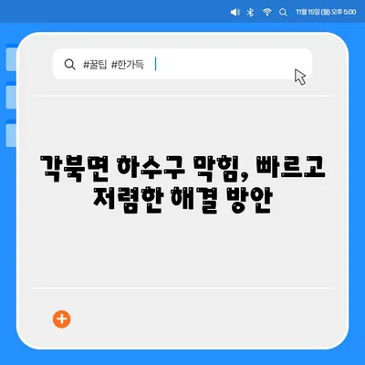 경상북도 청도군 각북면 하수구막힘 | 가격 | 비용 | 기름제거 | 싱크대 | 변기 | 세면대 | 역류 | 냄새차단 | 2024 후기