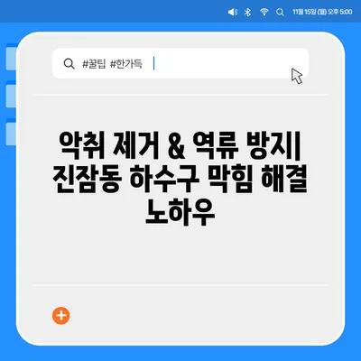 대전시 유성구 진잠동 하수구막힘 | 가격 | 비용 | 기름제거 | 싱크대 | 변기 | 세면대 | 역류 | 냄새차단 | 2024 후기