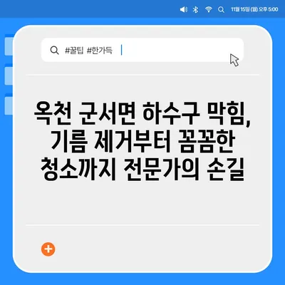 충청북도 옥천군 군서면 하수구막힘 | 가격 | 비용 | 기름제거 | 싱크대 | 변기 | 세면대 | 역류 | 냄새차단 | 2024 후기