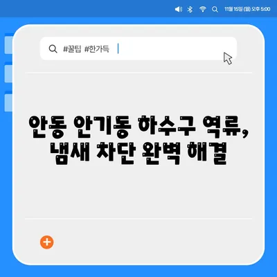 경상북도 안동시 안기동 하수구막힘 | 가격 | 비용 | 기름제거 | 싱크대 | 변기 | 세면대 | 역류 | 냄새차단 | 2024 후기