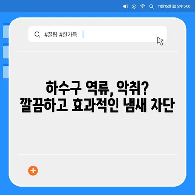 대전시 서구 변동 하수구막힘 | 가격 | 비용 | 기름제거 | 싱크대 | 변기 | 세면대 | 역류 | 냄새차단 | 2024 후기