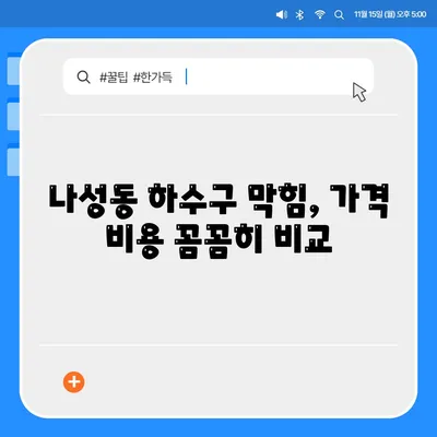 세종시 세종특별자치시 나성동 하수구막힘 | 가격 | 비용 | 기름제거 | 싱크대 | 변기 | 세면대 | 역류 | 냄새차단 | 2024 후기