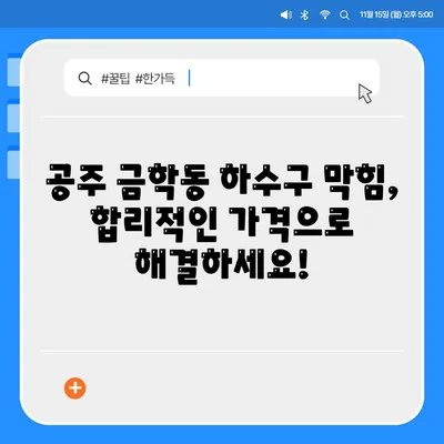 충청남도 공주시 금학동 하수구막힘 | 가격 | 비용 | 기름제거 | 싱크대 | 변기 | 세면대 | 역류 | 냄새차단 | 2024 후기