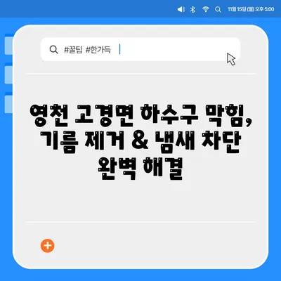 경상북도 영천시 고경면 하수구막힘 | 가격 | 비용 | 기름제거 | 싱크대 | 변기 | 세면대 | 역류 | 냄새차단 | 2024 후기