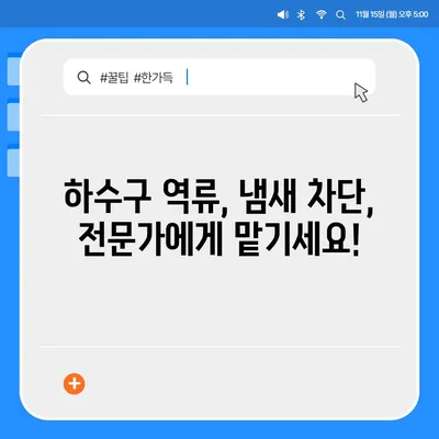 강원도 태백시 황지동 하수구막힘 | 가격 | 비용 | 기름제거 | 싱크대 | 변기 | 세면대 | 역류 | 냄새차단 | 2024 후기