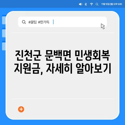 충청북도 진천군 문백면 민생회복지원금 | 신청 | 신청방법 | 대상 | 지급일 | 사용처 | 전국민 | 이재명 | 2024