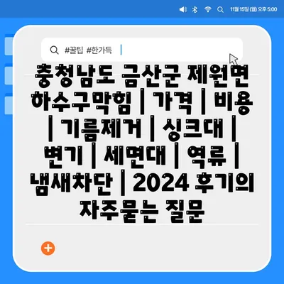 충청남도 금산군 제원면 하수구막힘 | 가격 | 비용 | 기름제거 | 싱크대 | 변기 | 세면대 | 역류 | 냄새차단 | 2024 후기