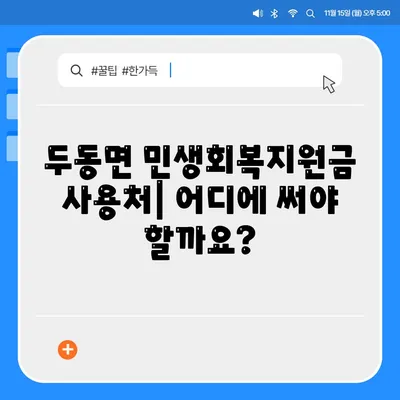 울산시 울주군 두동면 민생회복지원금 | 신청 | 신청방법 | 대상 | 지급일 | 사용처 | 전국민 | 이재명 | 2024