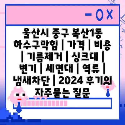 울산시 중구 복산1동 하수구막힘 | 가격 | 비용 | 기름제거 | 싱크대 | 변기 | 세면대 | 역류 | 냄새차단 | 2024 후기