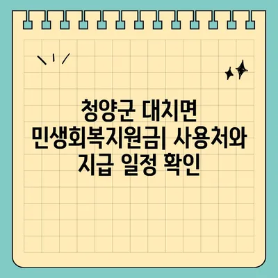 충청남도 청양군 대치면 민생회복지원금 | 신청 | 신청방법 | 대상 | 지급일 | 사용처 | 전국민 | 이재명 | 2024