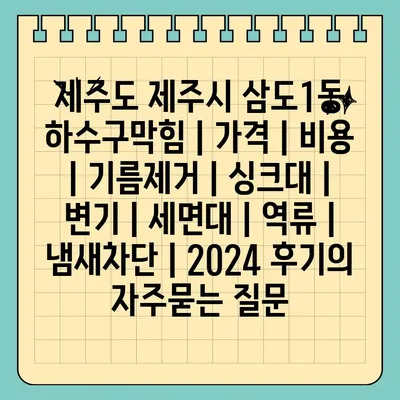 제주도 제주시 삼도1동 하수구막힘 | 가격 | 비용 | 기름제거 | 싱크대 | 변기 | 세면대 | 역류 | 냄새차단 | 2024 후기