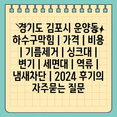 경기도 김포시 운양동 하수구막힘 | 가격 | 비용 | 기름제거 | 싱크대 | 변기 | 세면대 | 역류 | 냄새차단 | 2024 후기