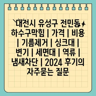 대전시 유성구 전민동 하수구막힘 | 가격 | 비용 | 기름제거 | 싱크대 | 변기 | 세면대 | 역류 | 냄새차단 | 2024 후기