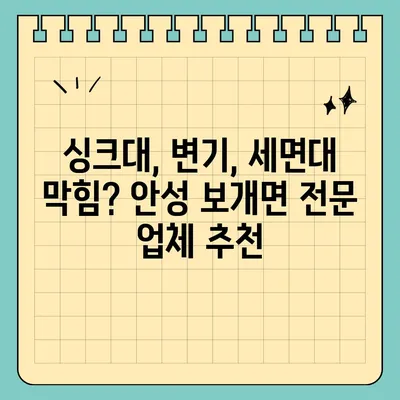 경기도 안성시 보개면 하수구막힘 | 가격 | 비용 | 기름제거 | 싱크대 | 변기 | 세면대 | 역류 | 냄새차단 | 2024 후기