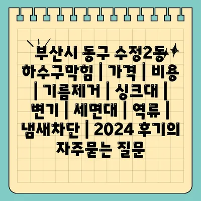 부산시 동구 수정2동 하수구막힘 | 가격 | 비용 | 기름제거 | 싱크대 | 변기 | 세면대 | 역류 | 냄새차단 | 2024 후기