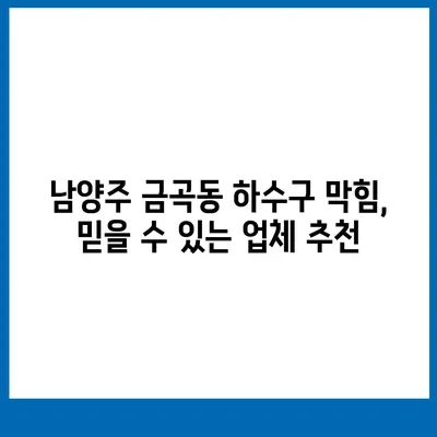 경기도 남양주시 금곡동 하수구막힘 | 가격 | 비용 | 기름제거 | 싱크대 | 변기 | 세면대 | 역류 | 냄새차단 | 2024 후기