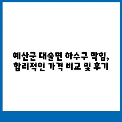 충청남도 예산군 대술면 하수구막힘 | 가격 | 비용 | 기름제거 | 싱크대 | 변기 | 세면대 | 역류 | 냄새차단 | 2024 후기